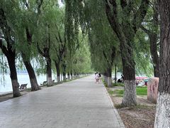 -北陵公园