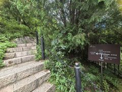 -北京十三陵国家森林公园蟒山景区