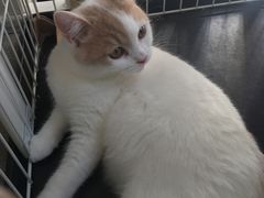 -白衬衫照相馆(五彩店)