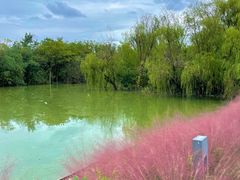-上海吴淞炮台湾国家湿地公园