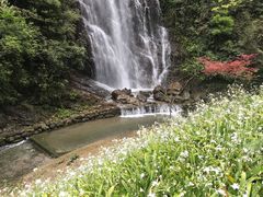 -神龙峡风景区