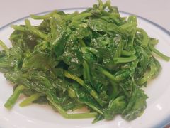 -蜀龙阁· 龍头水煮鱼(天坛店)