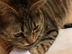 -达美乐比萨(商城路店)