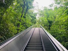 -天目湖山水园