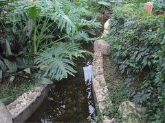 -汤山翠谷生态餐厅