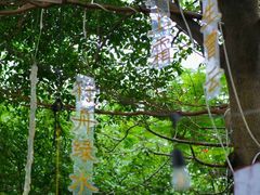 -陶缘一号·四季缘·老字号顺德菜·户外婚礼家宴(西滘店)