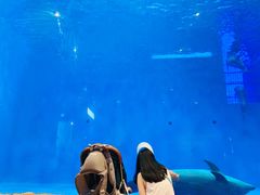 -华夏文旅海洋公园