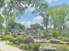 -东莞植物园