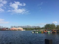 -上海长兴岛郊野公园