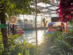 -南宫五洲植物乐园