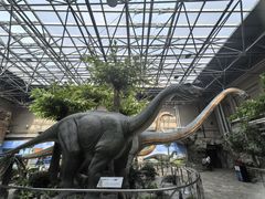 -国家自然博物馆