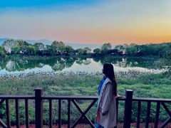 -上海市保健医疗中心