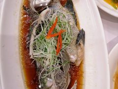 -骏莱海鲜鱼港(五角场店)