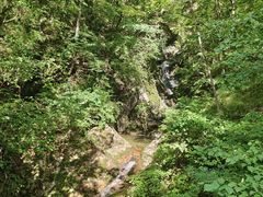 -牛背梁国家森林公园
