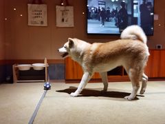 -大江户·温泉洗浴(浑南店)