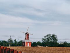 -羊亭河湿地公园