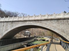 -白水寺森林公园
