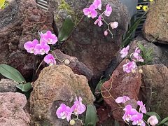 -南山植物园