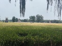 -长兴太湖图影湿地文化园