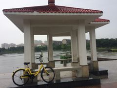 -山东理工大学