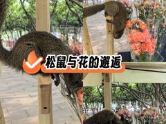 -翠湖公园