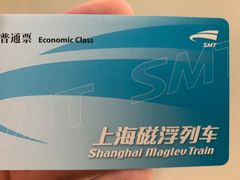 -龙阳路磁悬浮列车总站-停车场