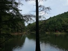 -四明山国家森林公园
