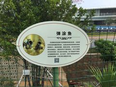 -北海金海湾红树林生态旅游区