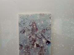 -上海昆虫博物馆