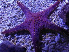 -波塞冬旅游度假区