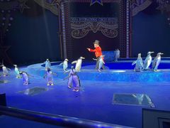 -珠海横琴长隆《卡卡虎奇遇记》