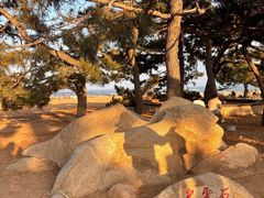 -老虎石海上公园