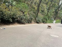 -黔灵山公园