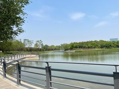 -大兴滨河森林公园