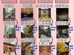 -成都大熊猫繁育研究基地
