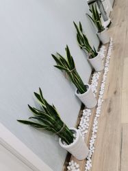 -YESIDO椰岛美容