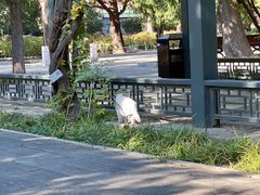 -北京市劳动人民文化宫(太庙)