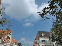 -大塘金香草谷