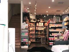 -萌兽医馆·眼科·异宠专科(三里屯店)