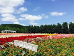-富田农场