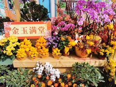 -海心沙亚运公园