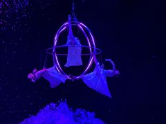 -广州长隆国际大马戏