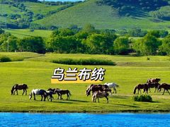 -乌兰布统草原