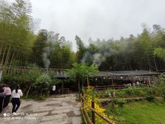 -宁波浙东大竹海景区