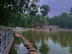 -莲湖公园