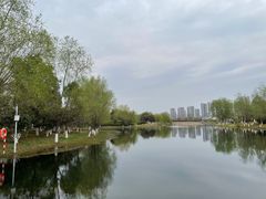 -洋湖国家湿地公园