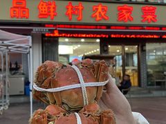 -品鲜村农家菜·阳澄湖大闸蟹(总店)