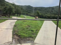 -横道河子东北虎林园