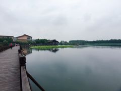-溱湖国家湿地公园