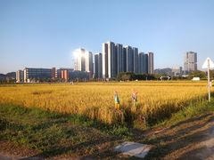 -光明小镇欢乐田园